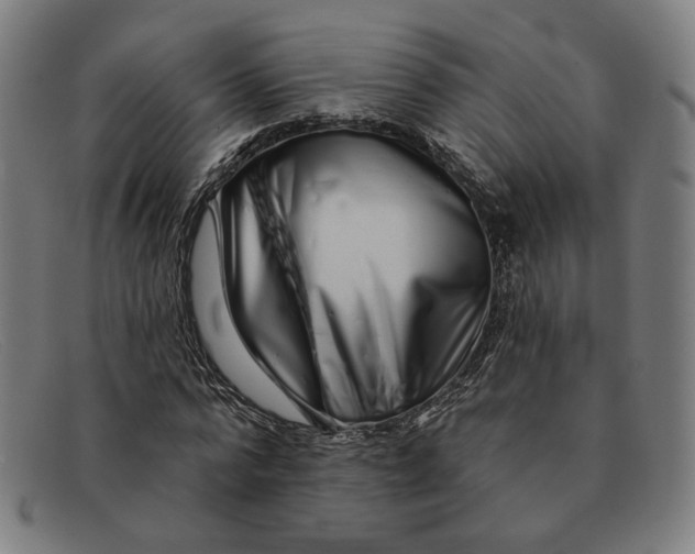 X0000091310776200708311356