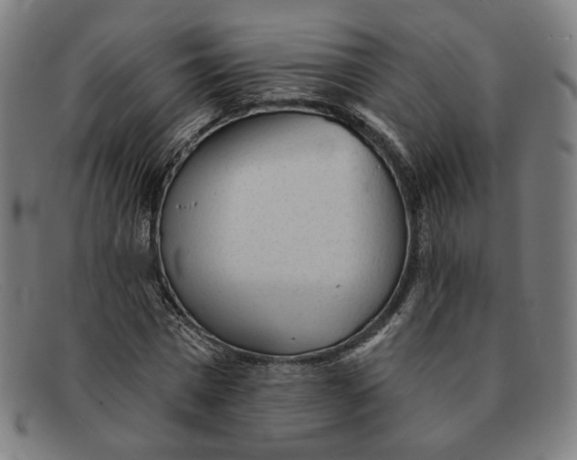 X0000091310777200708311356