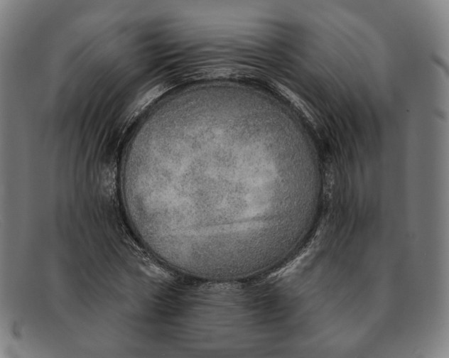 X0000091310778200708311356