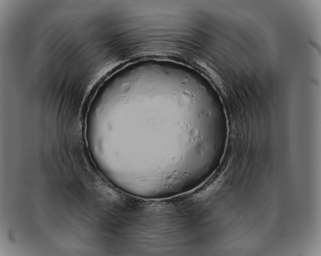 X0000091310779200708311356