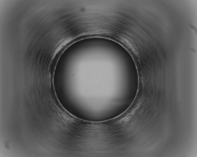 X0000091310781200708311356