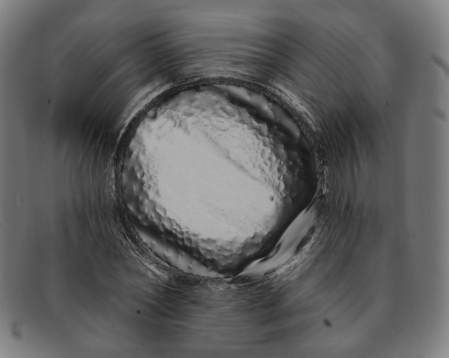 X0000091310782200708311356