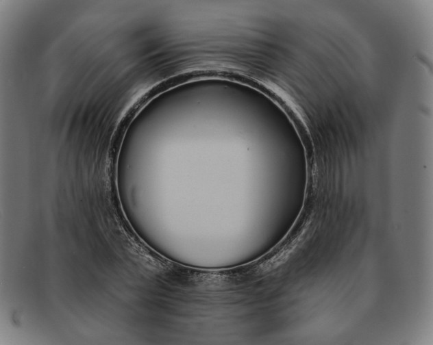 X0000091310783200708311356