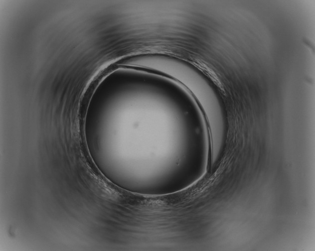 X0000091310784200708311356