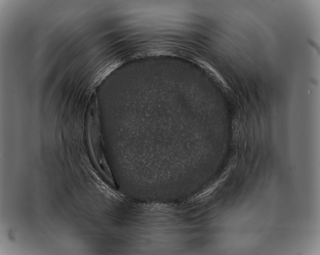 X0000091310785200708311356