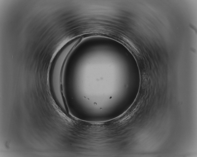 X0000091310788200708311355