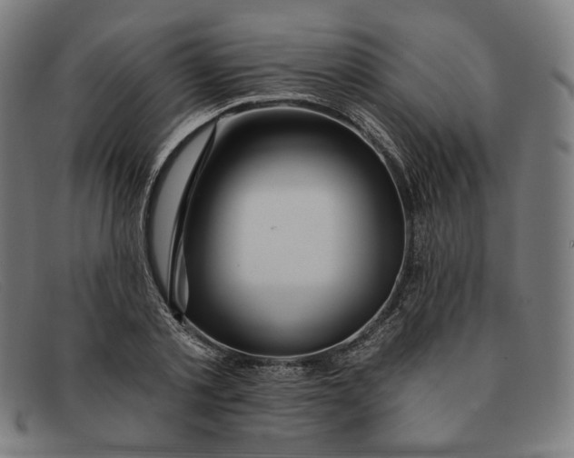 X0000091310789200708311355