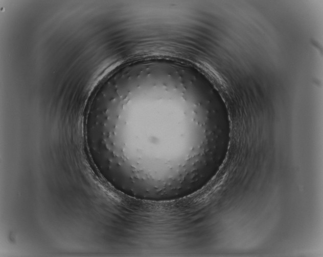 X0000091310790200708311355