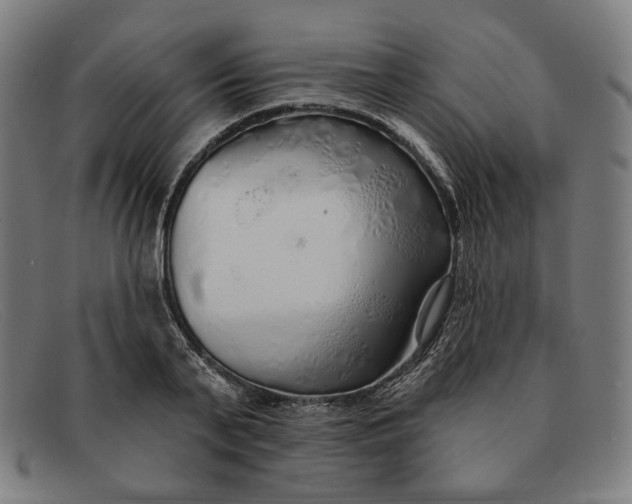 X0000091310791200708311355