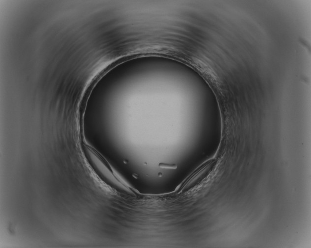 X0000091310792200708311355