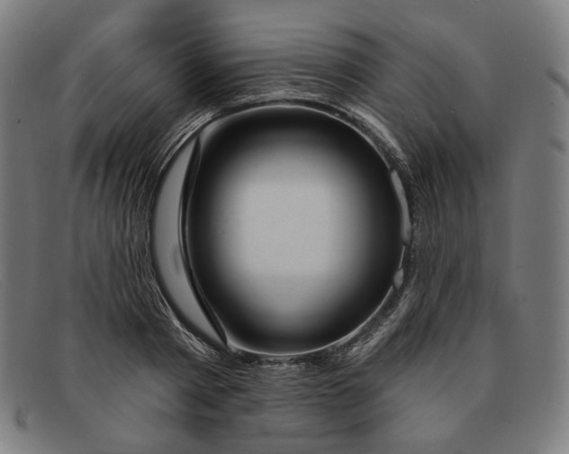 X0000091310793200708311355