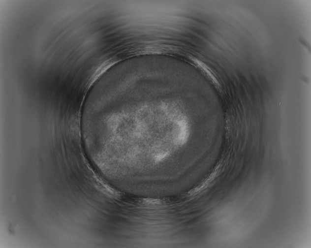 X0000091310794200708311355