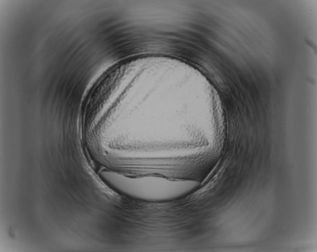 X0000091310796200708311355