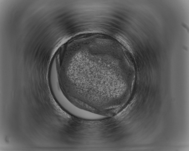 X0000091310797200708311355