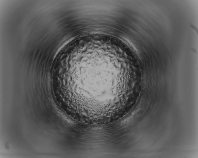 X0000091310798200708311355