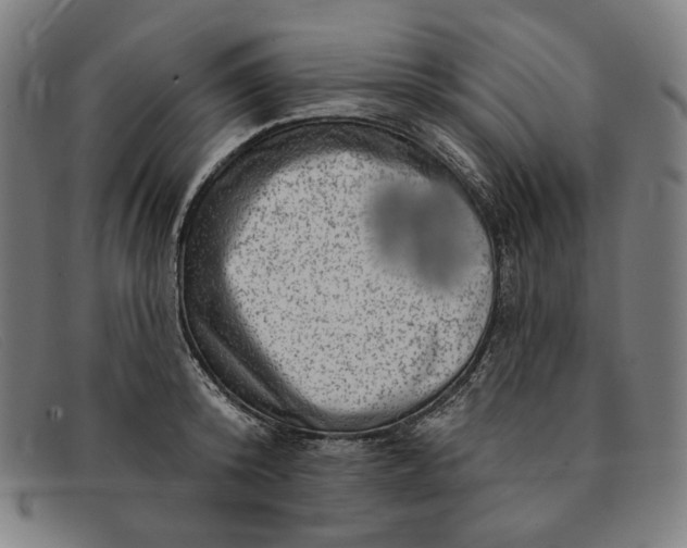 X0000091310800200708311355