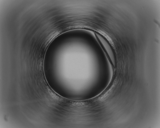 X0000091310801200708311355