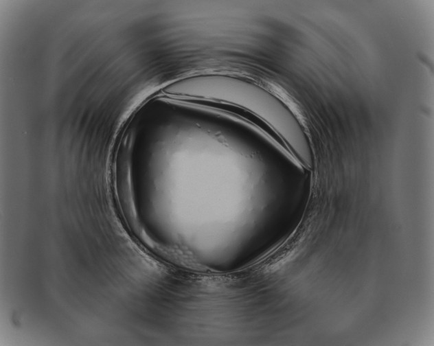 X0000091310803200708311355