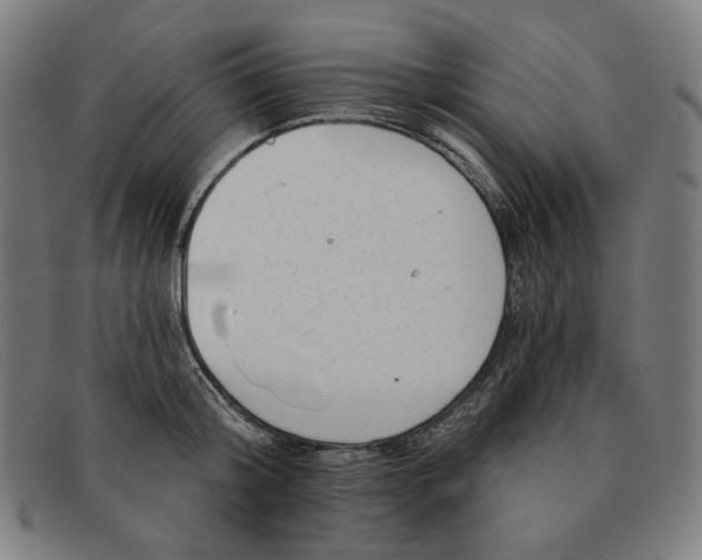 X0000091310804200708311355