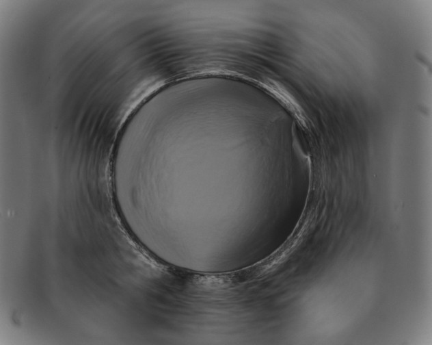 X0000091310806200708311355