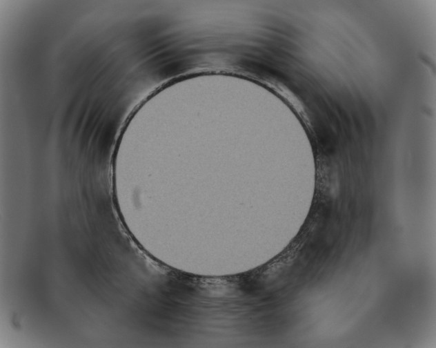 X0000091310807200708311355