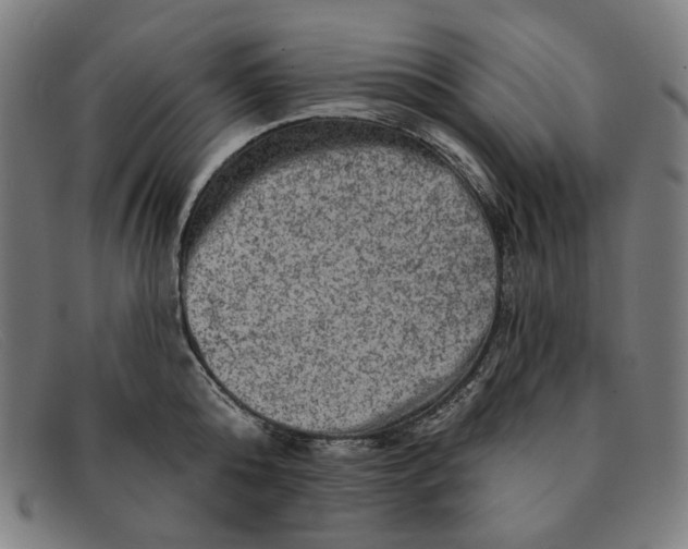 X0000091310808200708311355