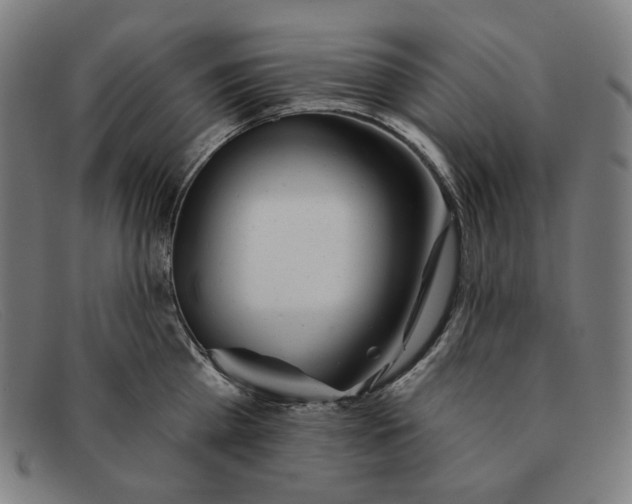 X0000091310809200708311355