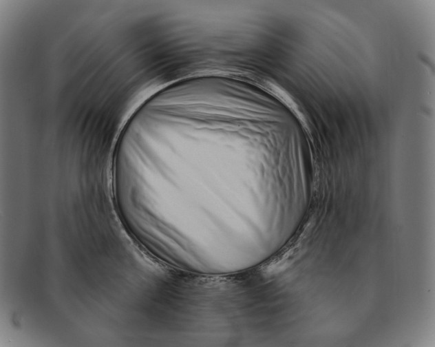 X0000091310811200708311355