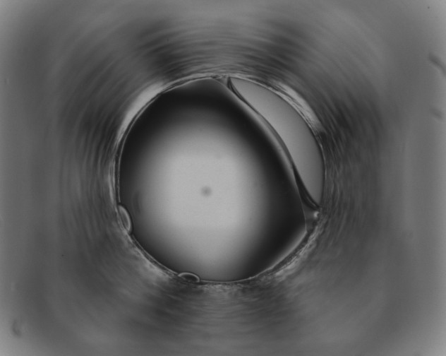 X0000091310812200708311355