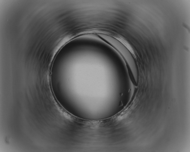 X0000091310813200708311355