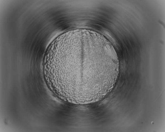 X0000091310814200708311355