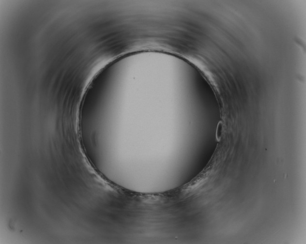 X0000091310815200708311355