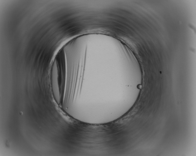 X0000091310816200708311355