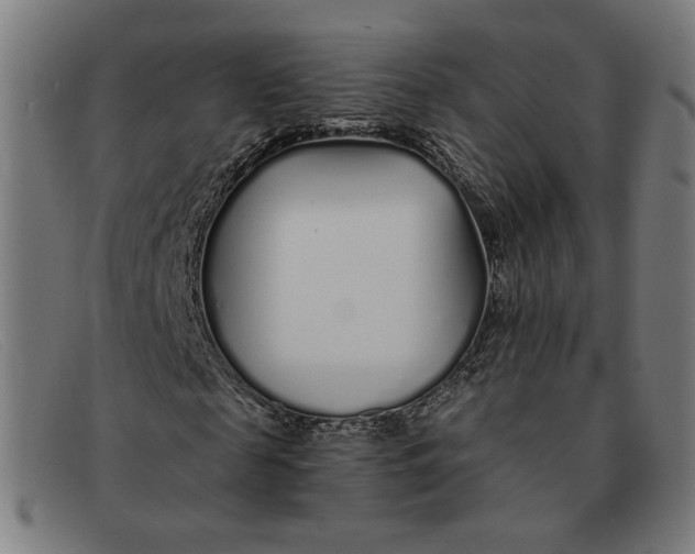 X0000091310817200708311355