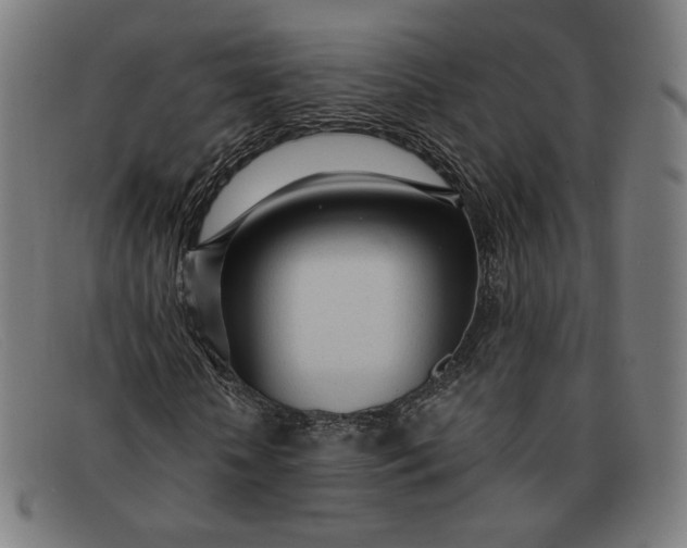 X0000091310818200708311355