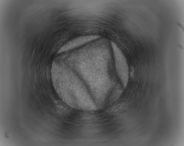 X0000091310819200708311355