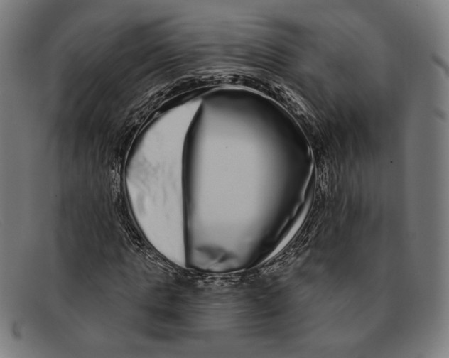 X0000091310821200708311355