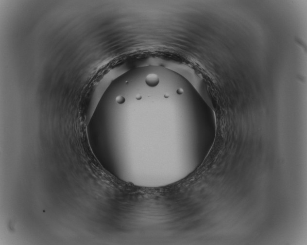 X0000091310822200708311355