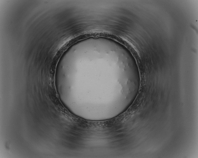 X0000091310823200708311355