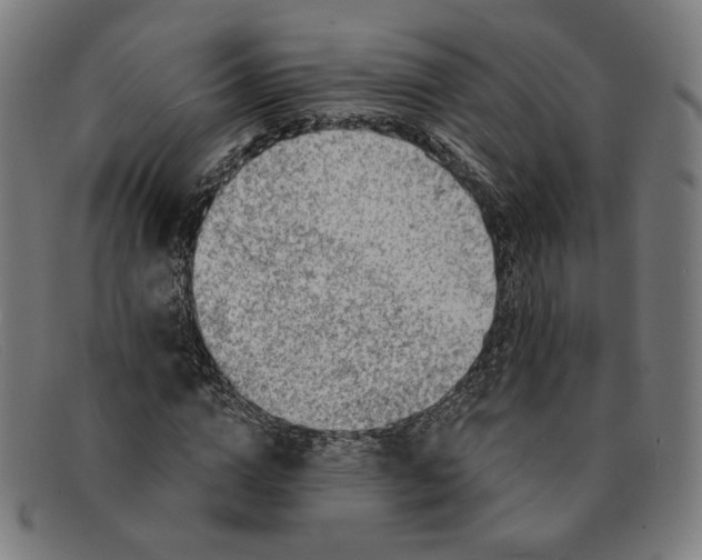 X0000091310824200708311355