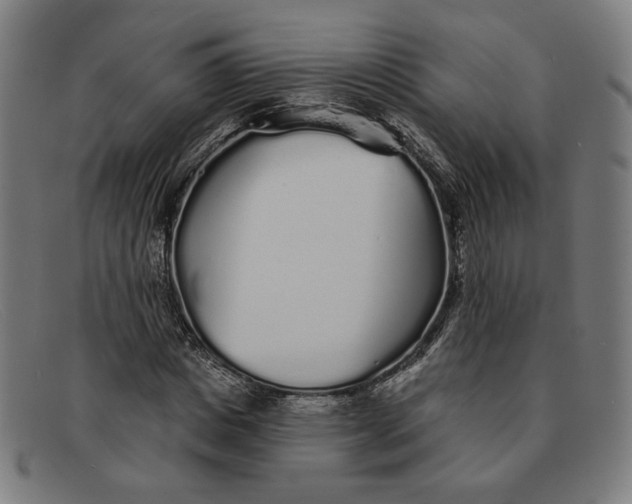 X0000091310825200708311355