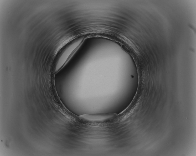 X0000091310826200708311355