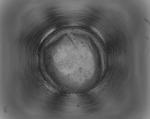 X0000091310827200708311355