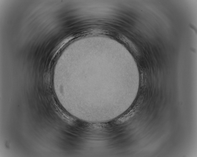 X0000091310828200708311355