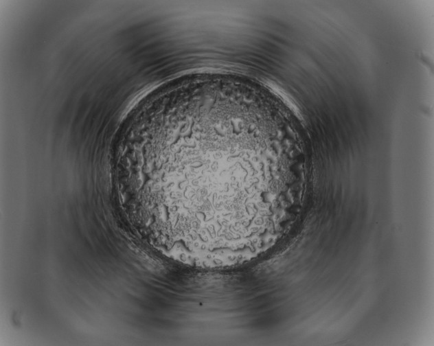 X0000091310829200708311355