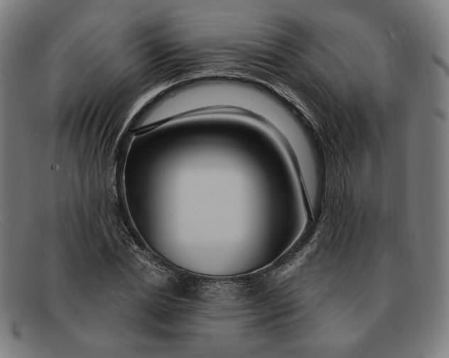 X0000091310830200708311355