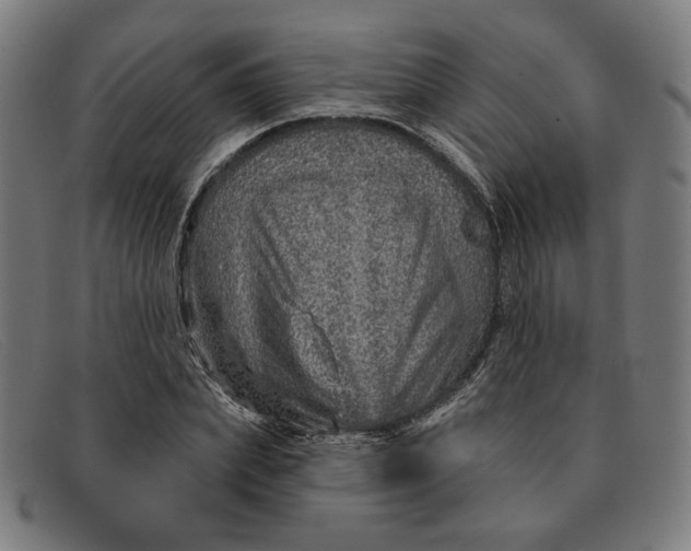 X0000091310831200708311355