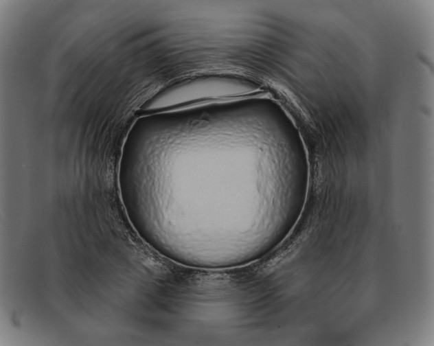 X0000091310833200708311355