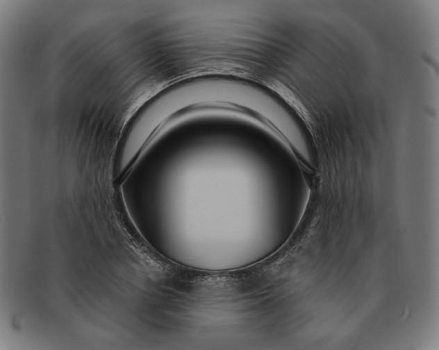 X0000091310834200708311355