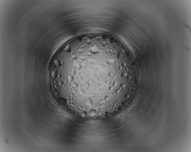 X0000091310835200708311355